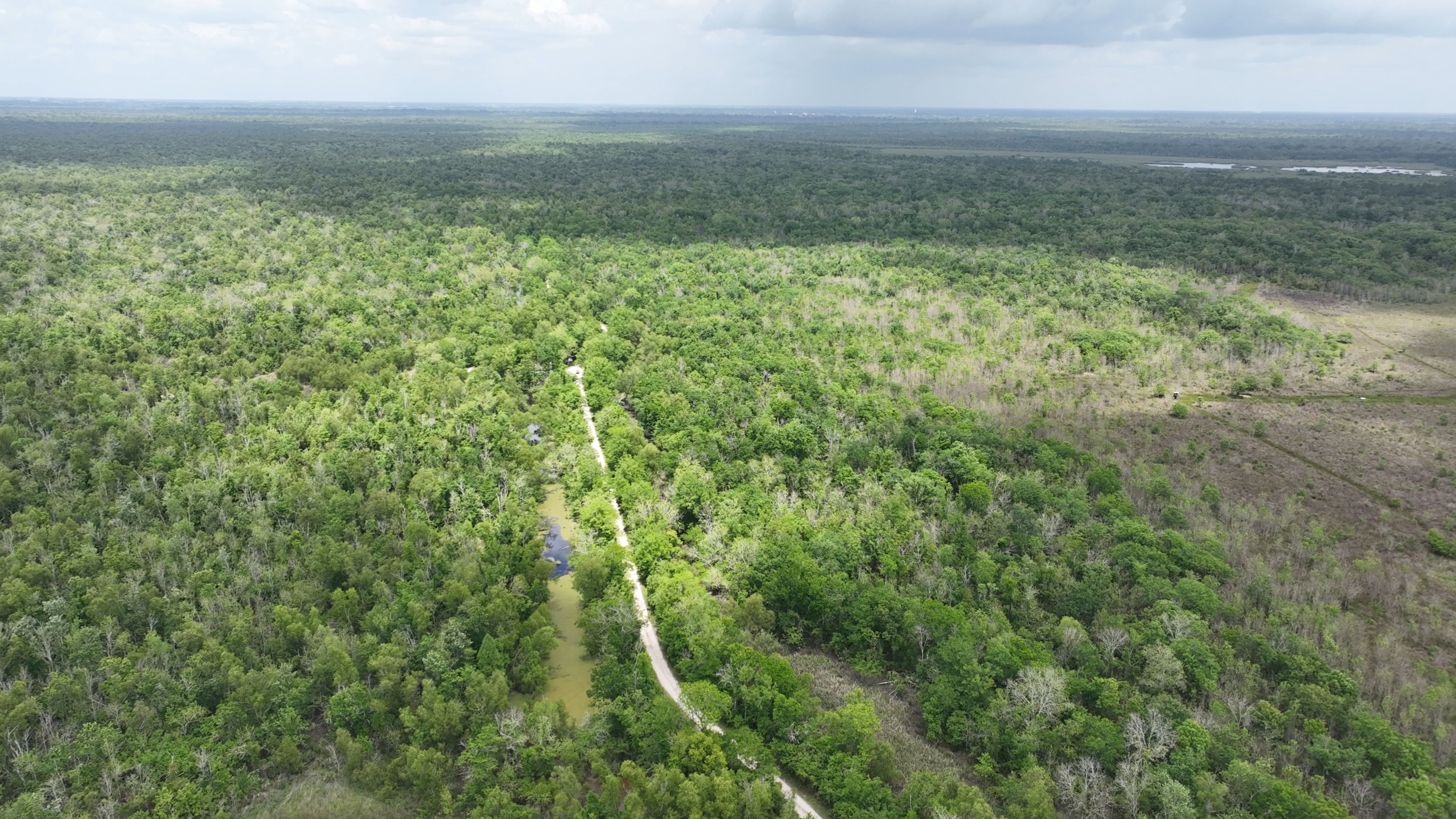 Listing Photo: Louisiana Hunting and Fishing
